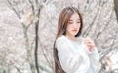 日本特爽特黄特刺激大片